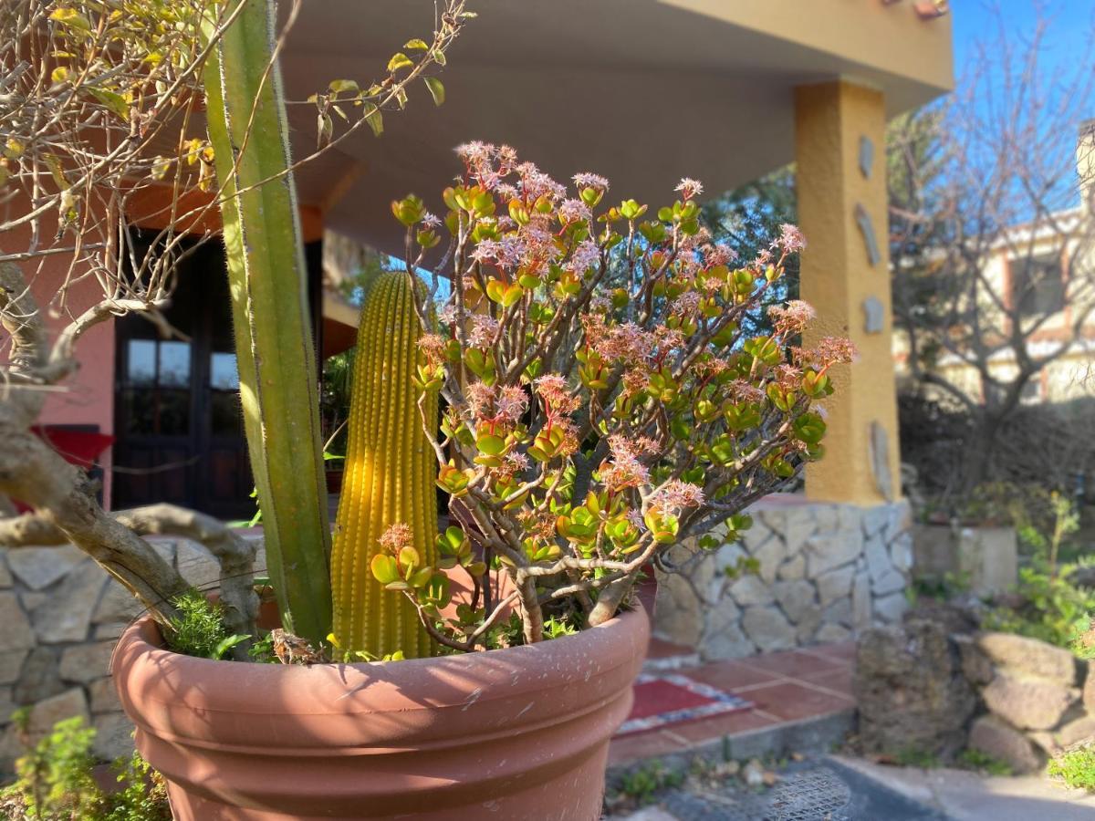 Lovely Home 5 Min Walk To The Beach, 3 Bedrooms Ample Outdoor Relax And Wifi Capitana Eksteriør billede
