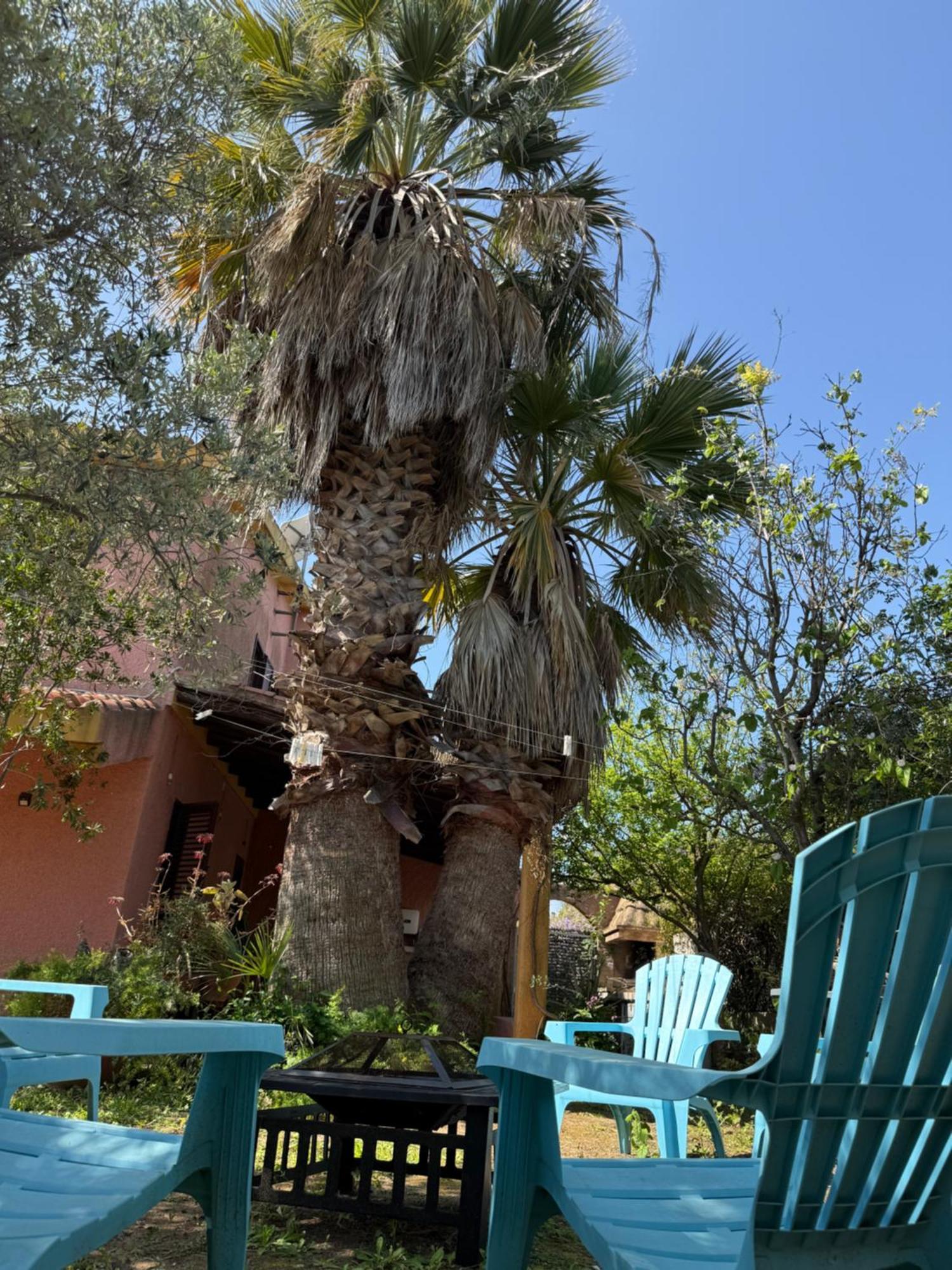 Lovely Home 5 Min Walk To The Beach, 3 Bedrooms Ample Outdoor Relax And Wifi Capitana Eksteriør billede